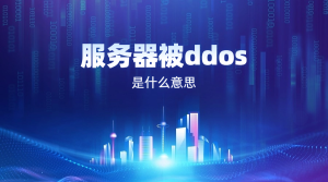 ddos云服務器是什么意思?